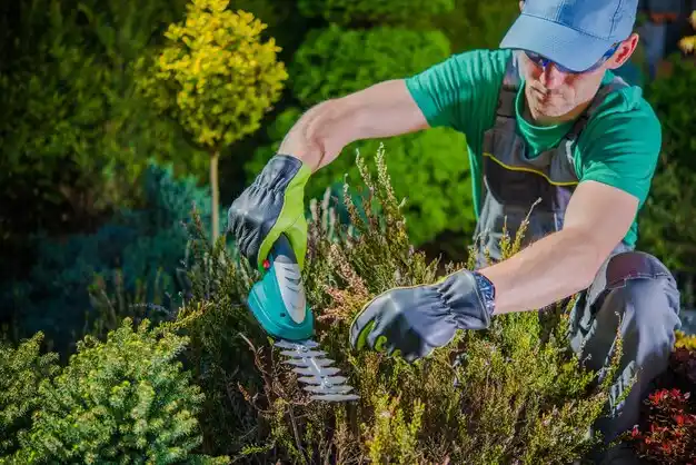 landscaping services Elsmere